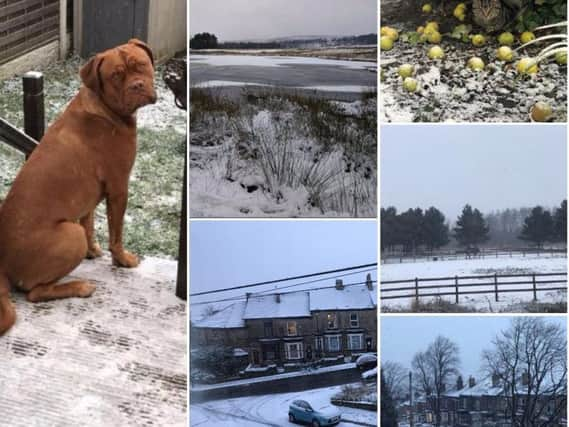 Snow has begun to fall across Sheffield