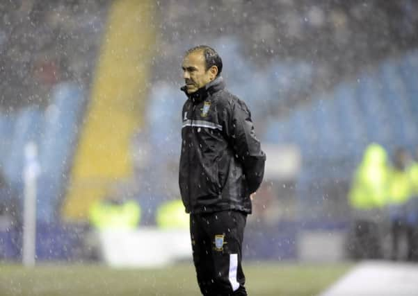 New Owls boss Jos Luhukay