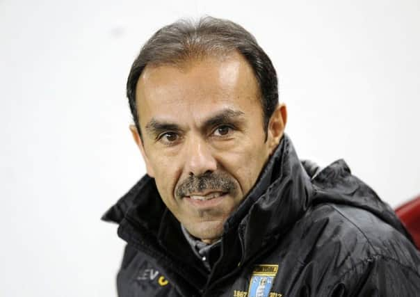 Owls boss Jos Luhukay...Pic Steve Ellis