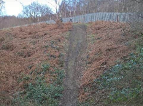 Damage caused by off-road bikes