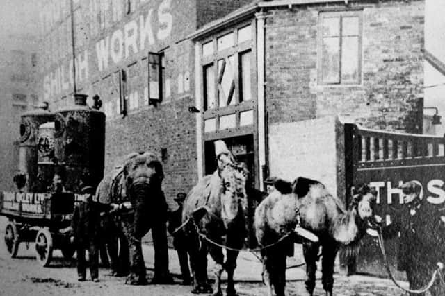 Lizzie with camels