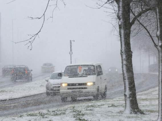 Norton Avenue this morning. Picture: Chris Etchells.