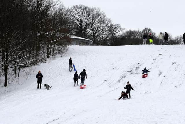 Sledging at Norfolk Heritage Park.