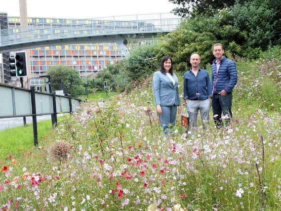 Dan Cornwell, Janene Scurfield and Nigel Dunnett at Park Square roundabout. Picture by Glenn Ashley