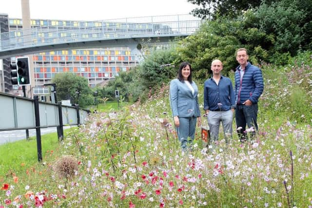 Dan Cornwell, Janene Scurfield and Nigel Dunnett at Park Square roundabout. Picture by Glenn Ashley