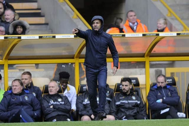 UNDER COVER.....Owls Manager Jos Luhukay on the touch line....Pic Steve Ellis