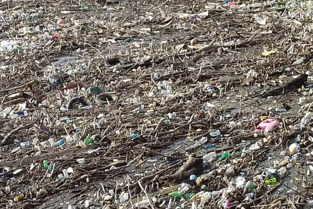 Litter washed up on the River Cheswald, in Doncaster.